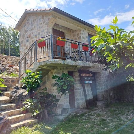 Vila Pegaz Virpazar Exterior foto